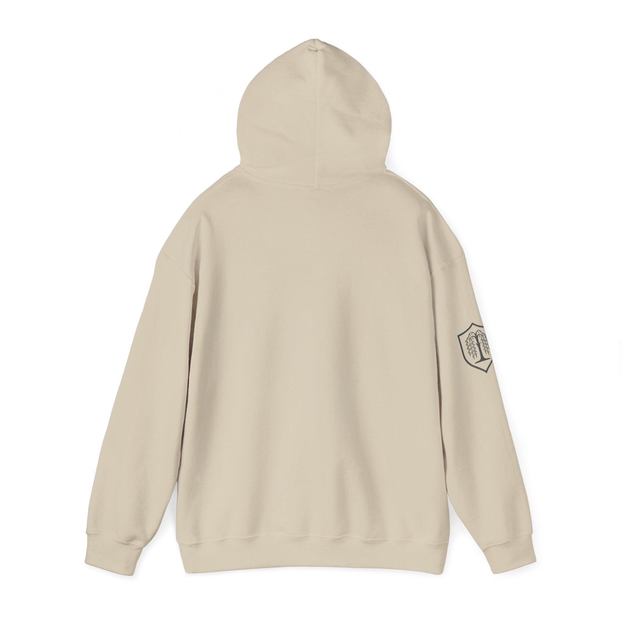 The Plagued Page Hoodie — Gothic Novel-Inspired Pullover