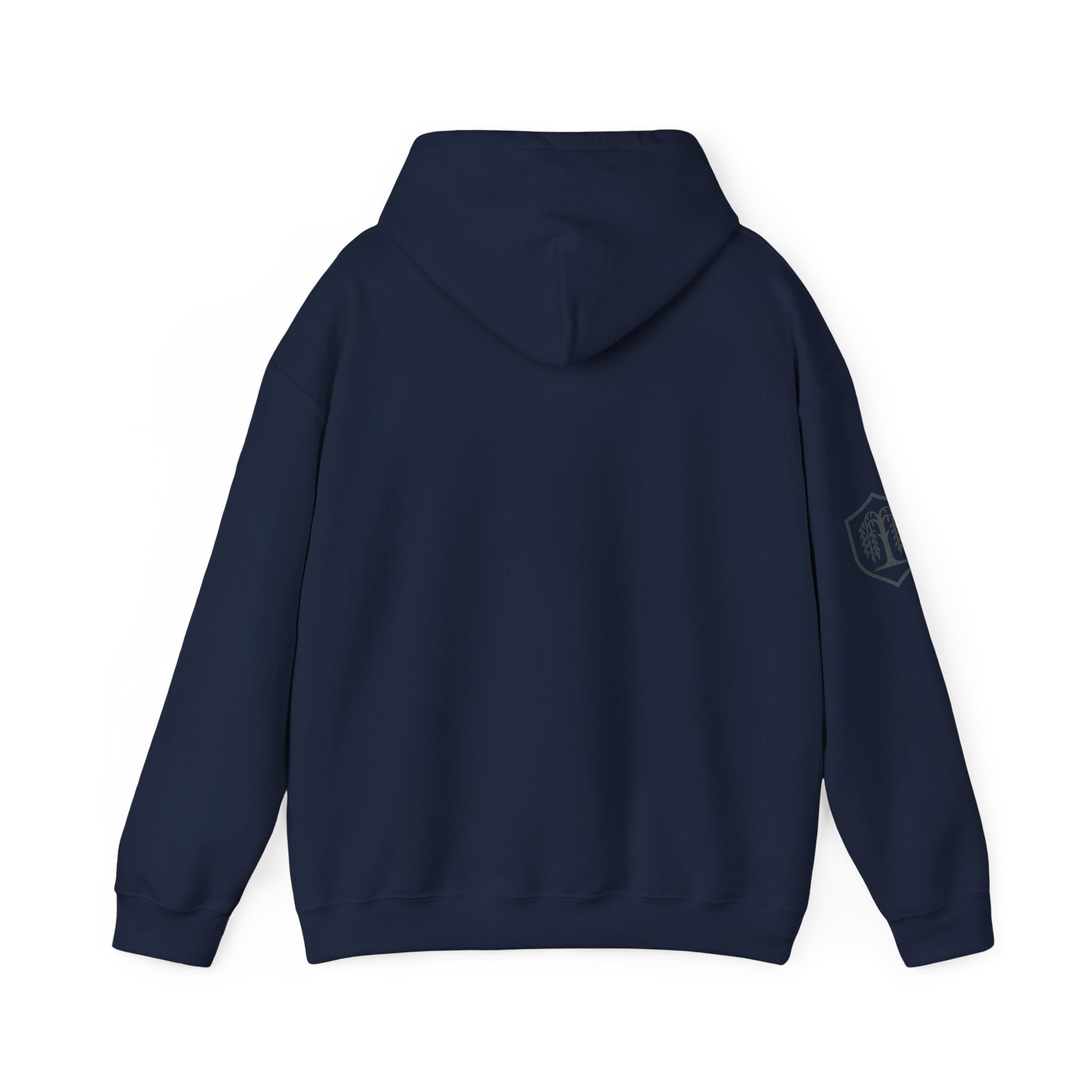 The Plagued Page Hoodie — Gothic Novel-Inspired Pullover