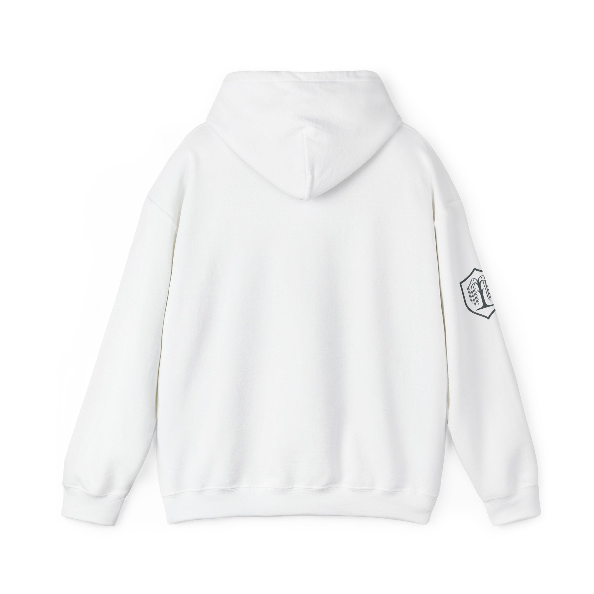 The Plagued Page Hoodie — Gothic Novel-Inspired Pullover