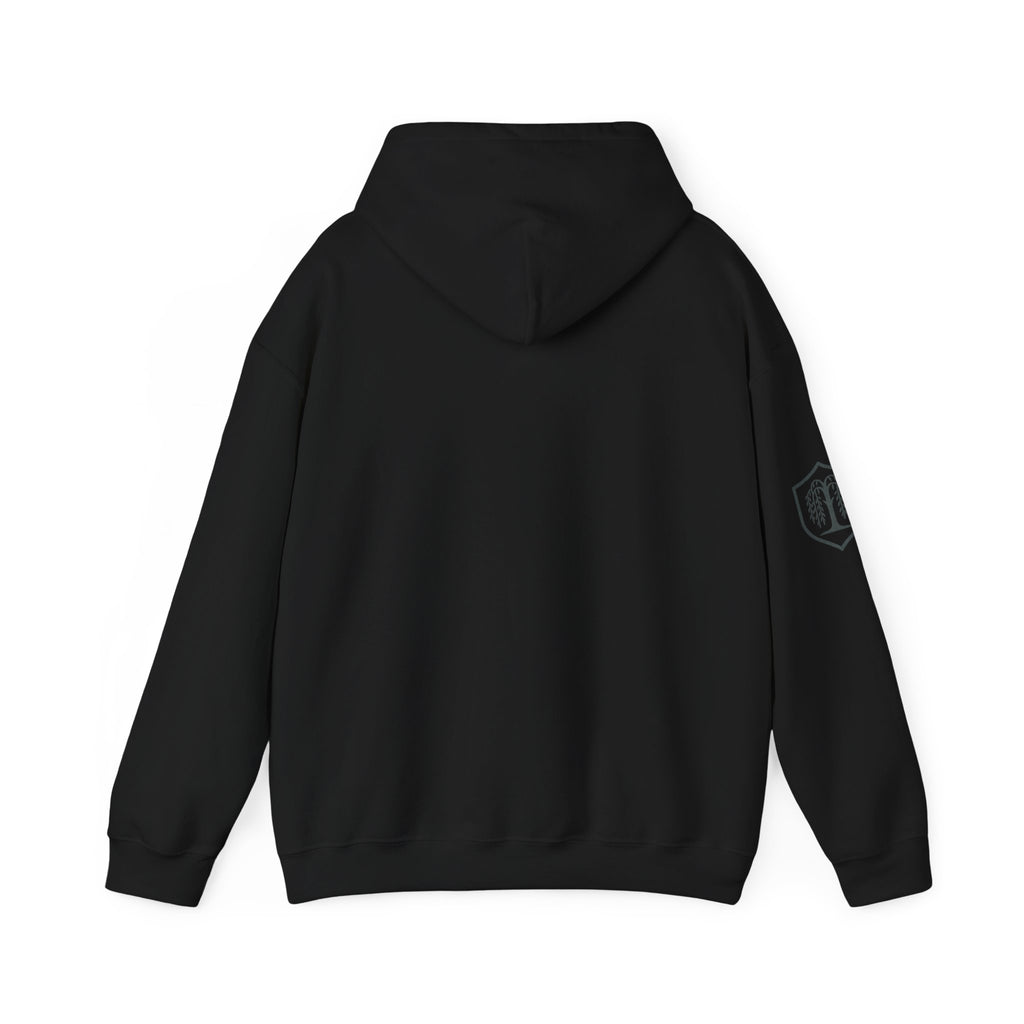 The Plagued Page Hoodie — Gothic Novel-Inspired Pullover