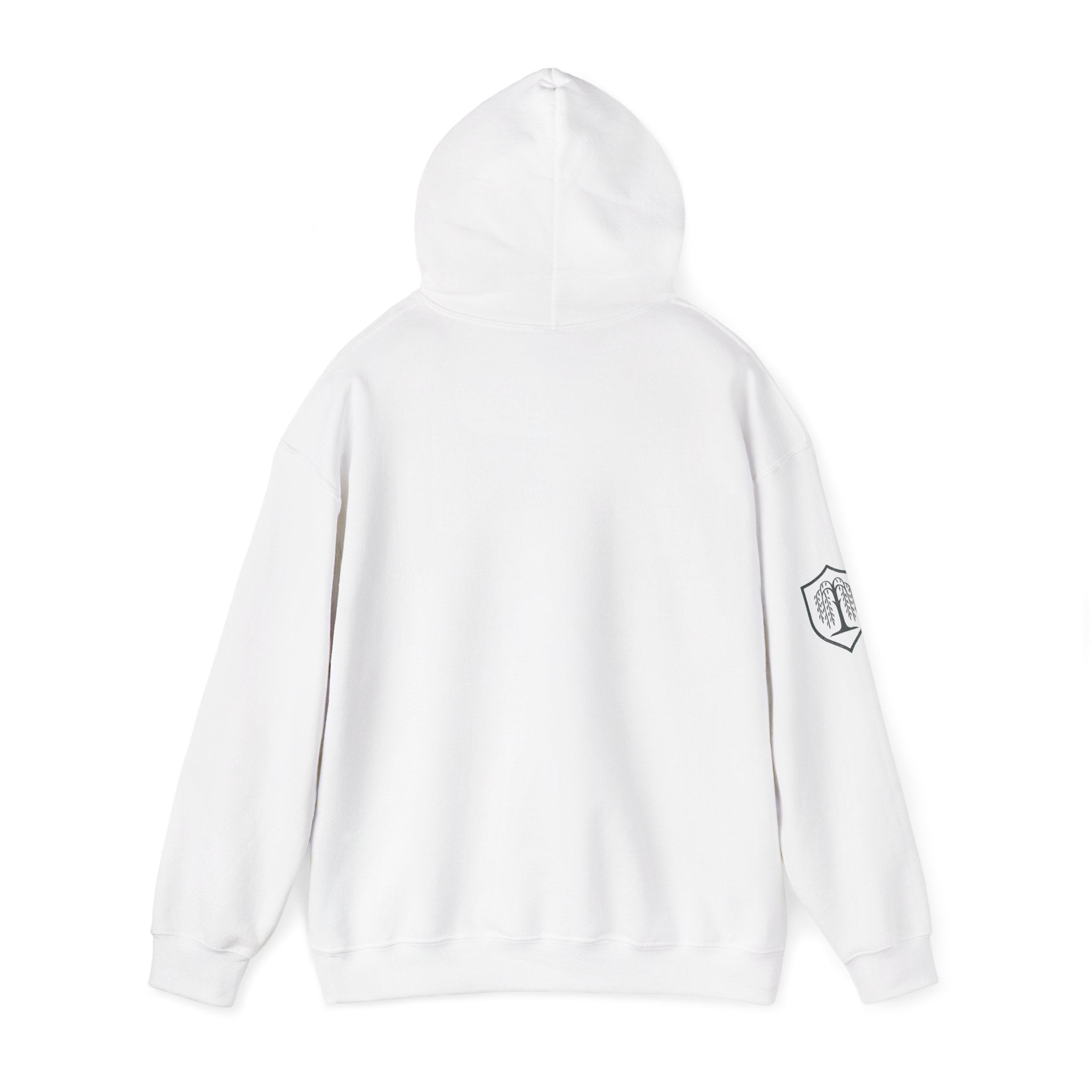 The Plagued Page Hoodie — Gothic Novel-Inspired Pullover