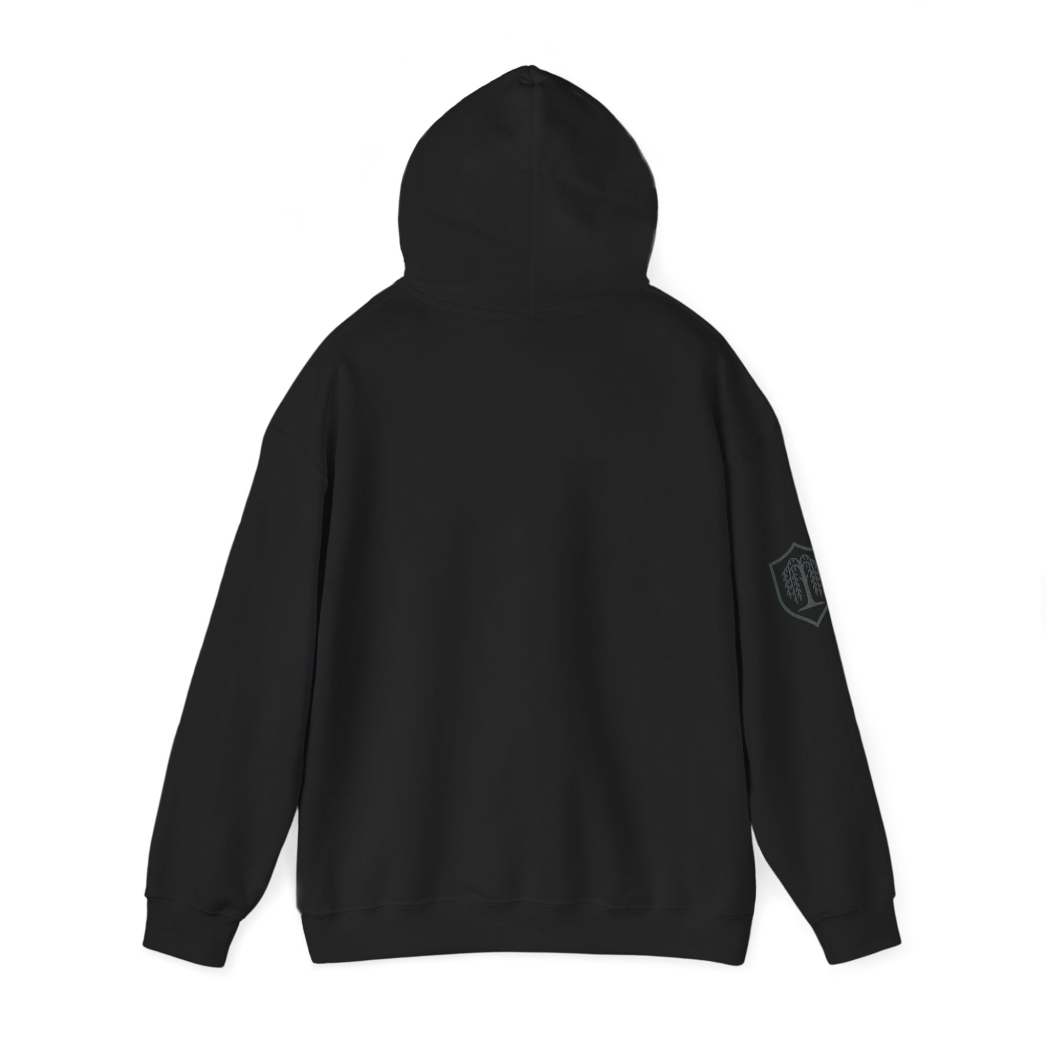 The Plagued Page Hoodie — Gothic Novel-Inspired Pullover