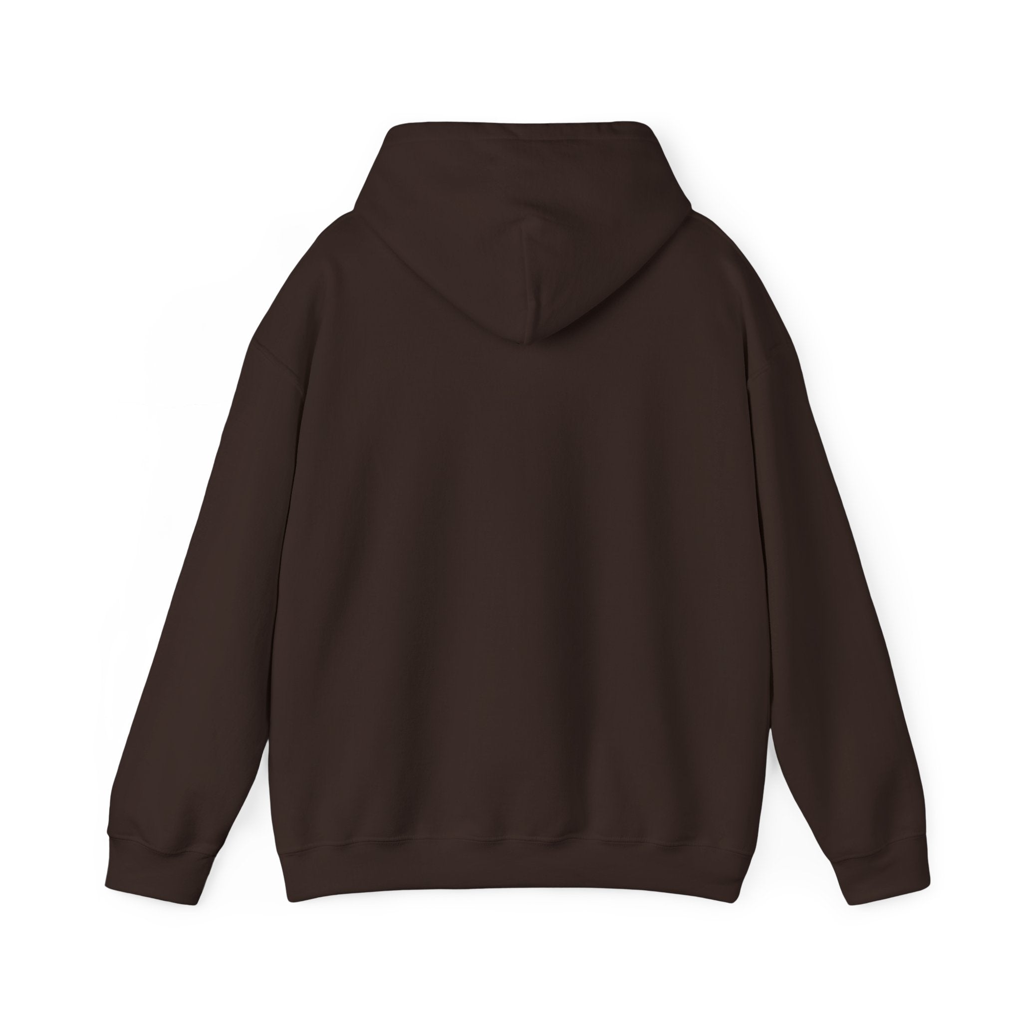 The Plagued Page Pullover Hoodie