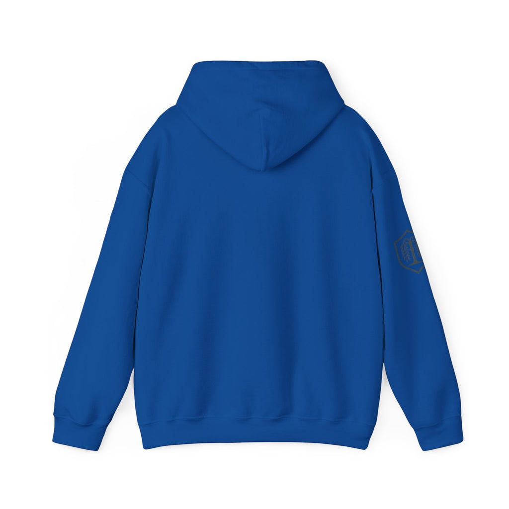 The Plagued Page Hoodie — Gothic Novel-Inspired Pullover