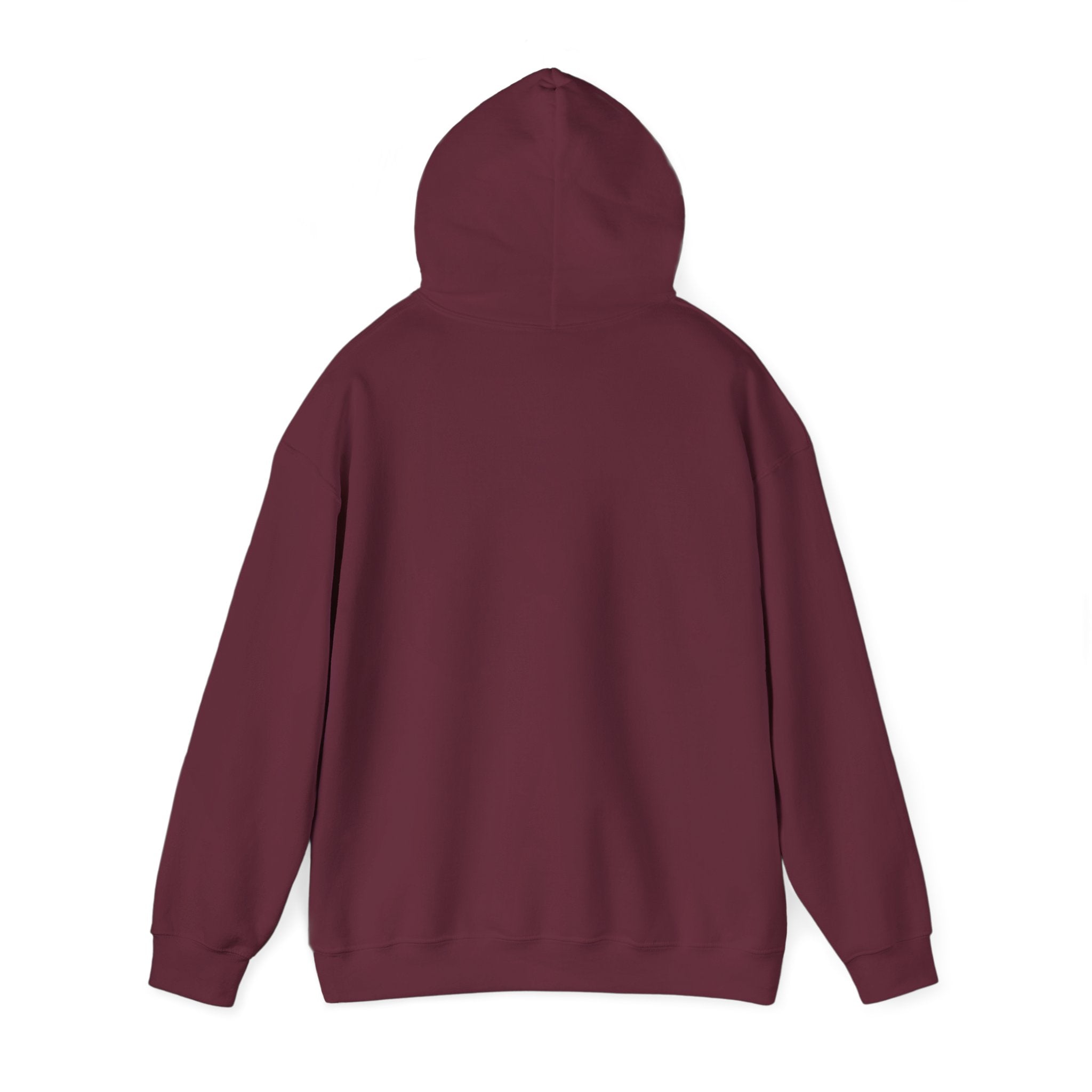 The Plagued Page Pullover Hoodie