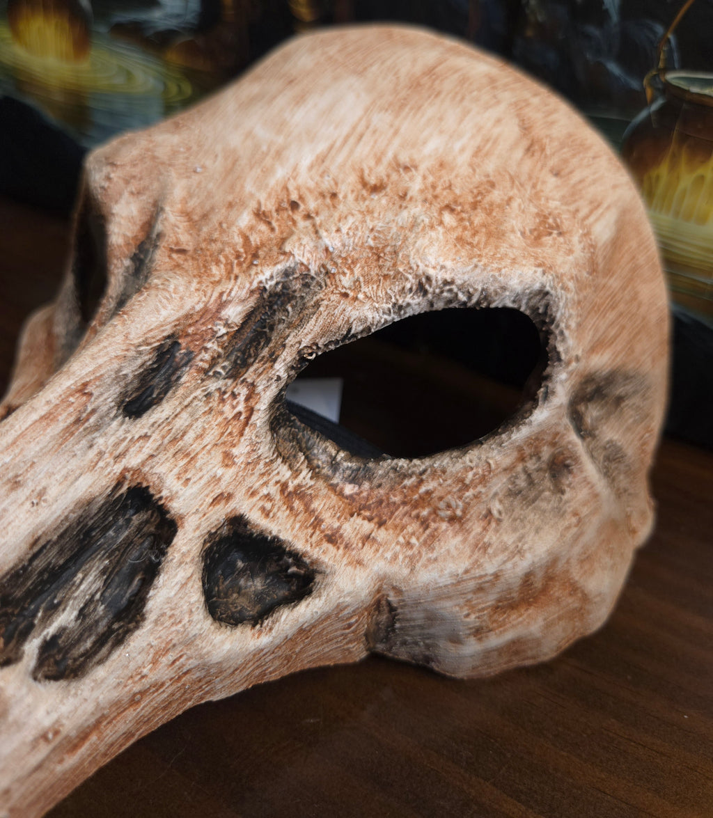 Bone Raven Skull Beak Mask