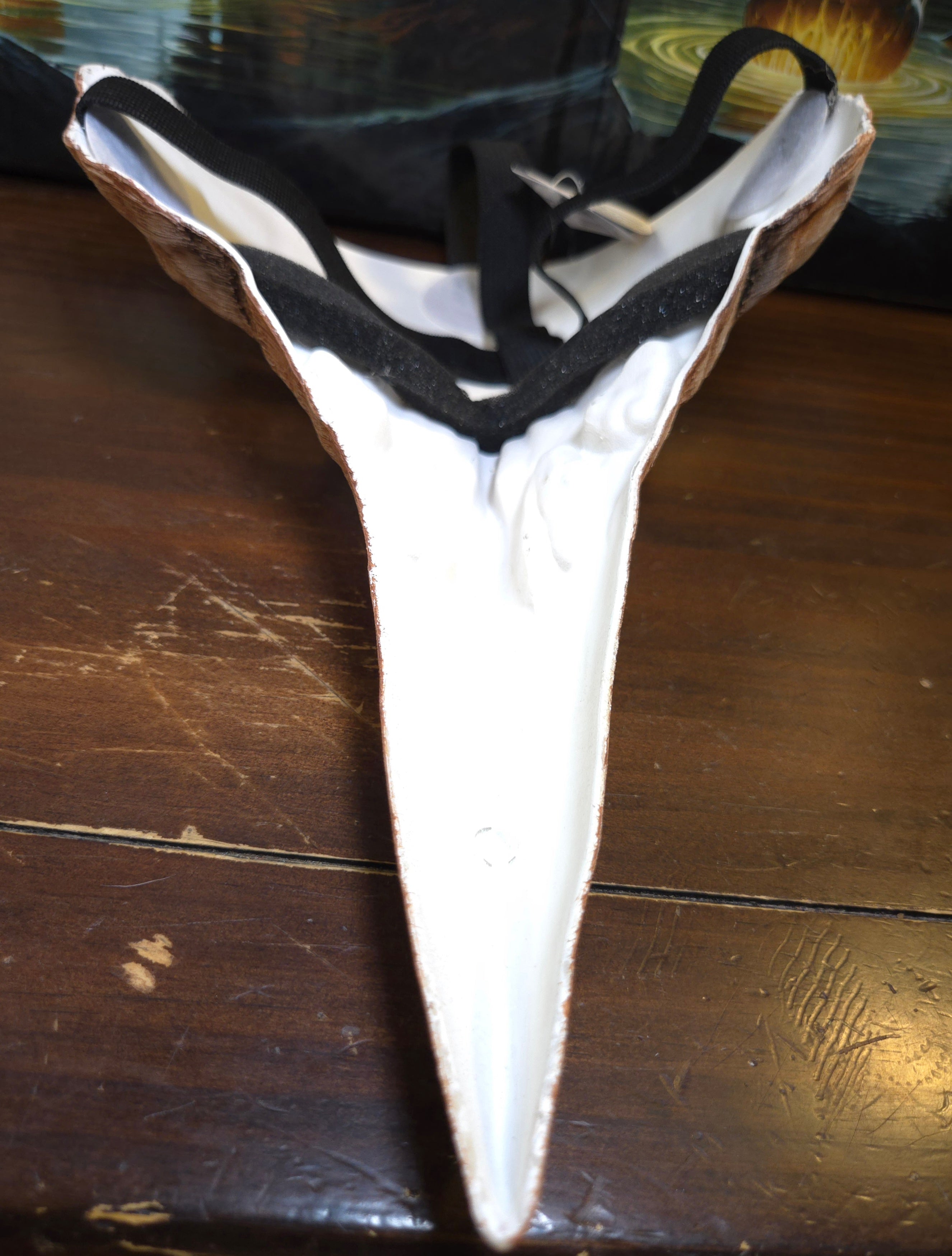 Bone Raven Skull Beak Mask