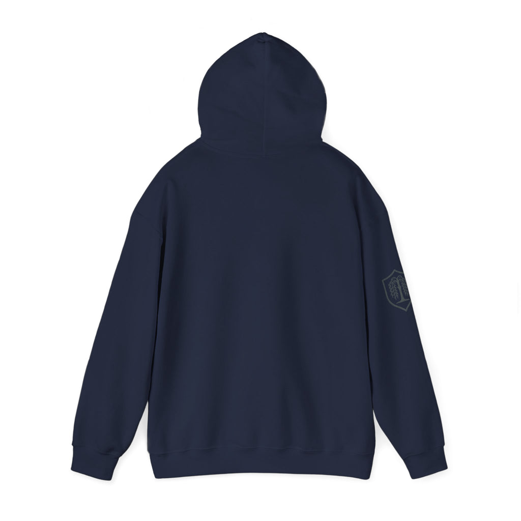 The Plagued Page Hoodie — Gothic Novel-Inspired Pullover