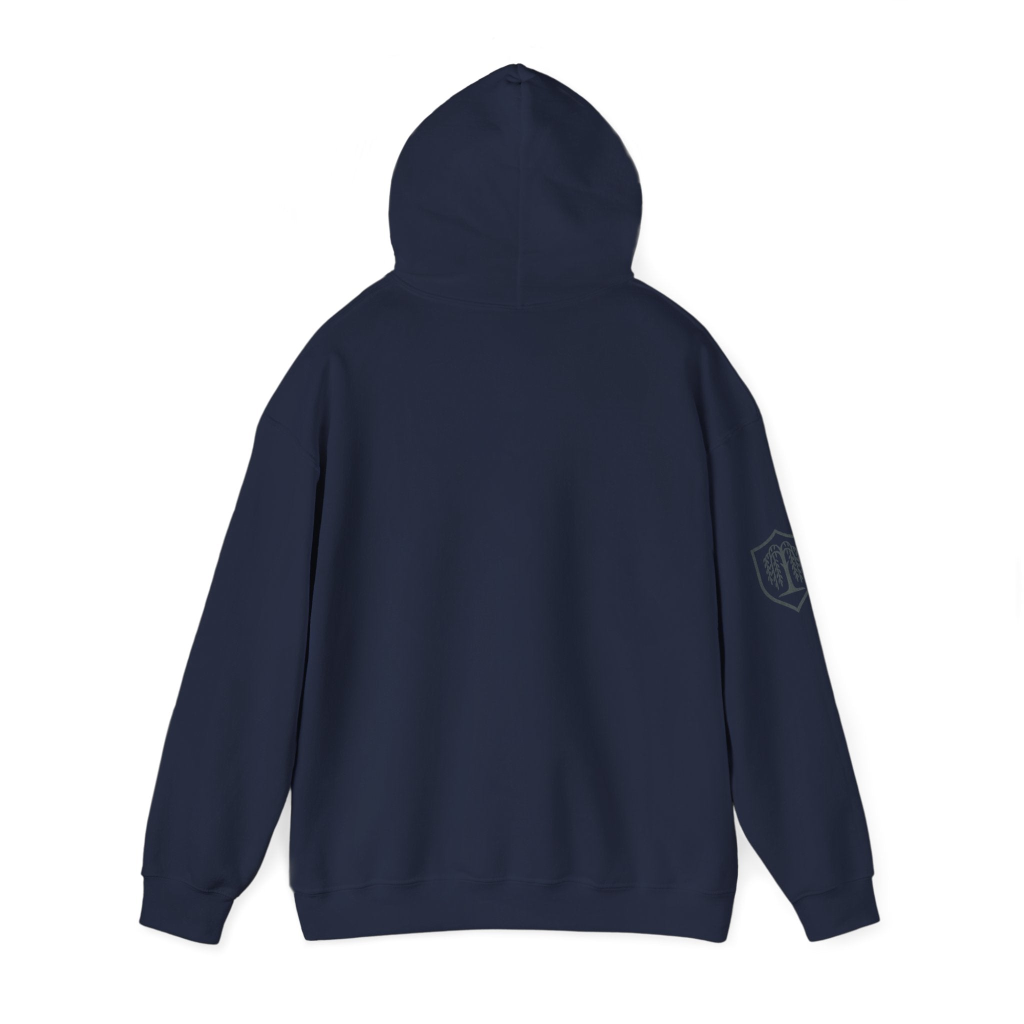 The Plagued Page Hoodie — Gothic Novel-Inspired Pullover