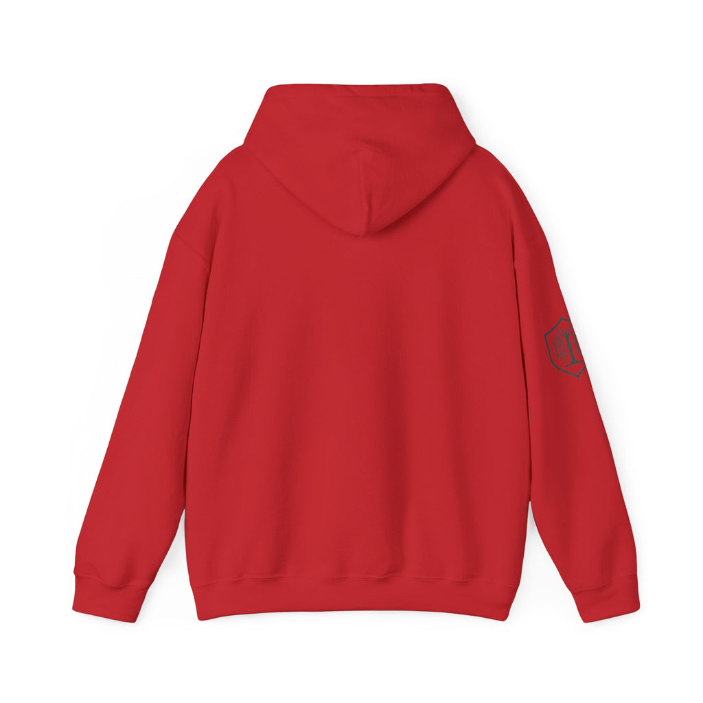 The Plagued Page Hoodie — Gothic Novel-Inspired Pullover