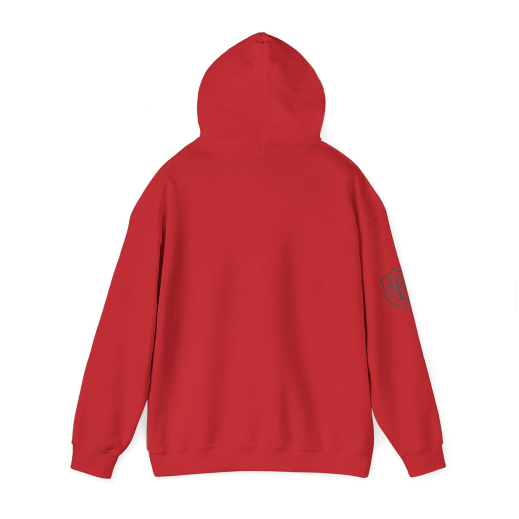 The Plagued Page Hoodie — Gothic Novel-Inspired Pullover