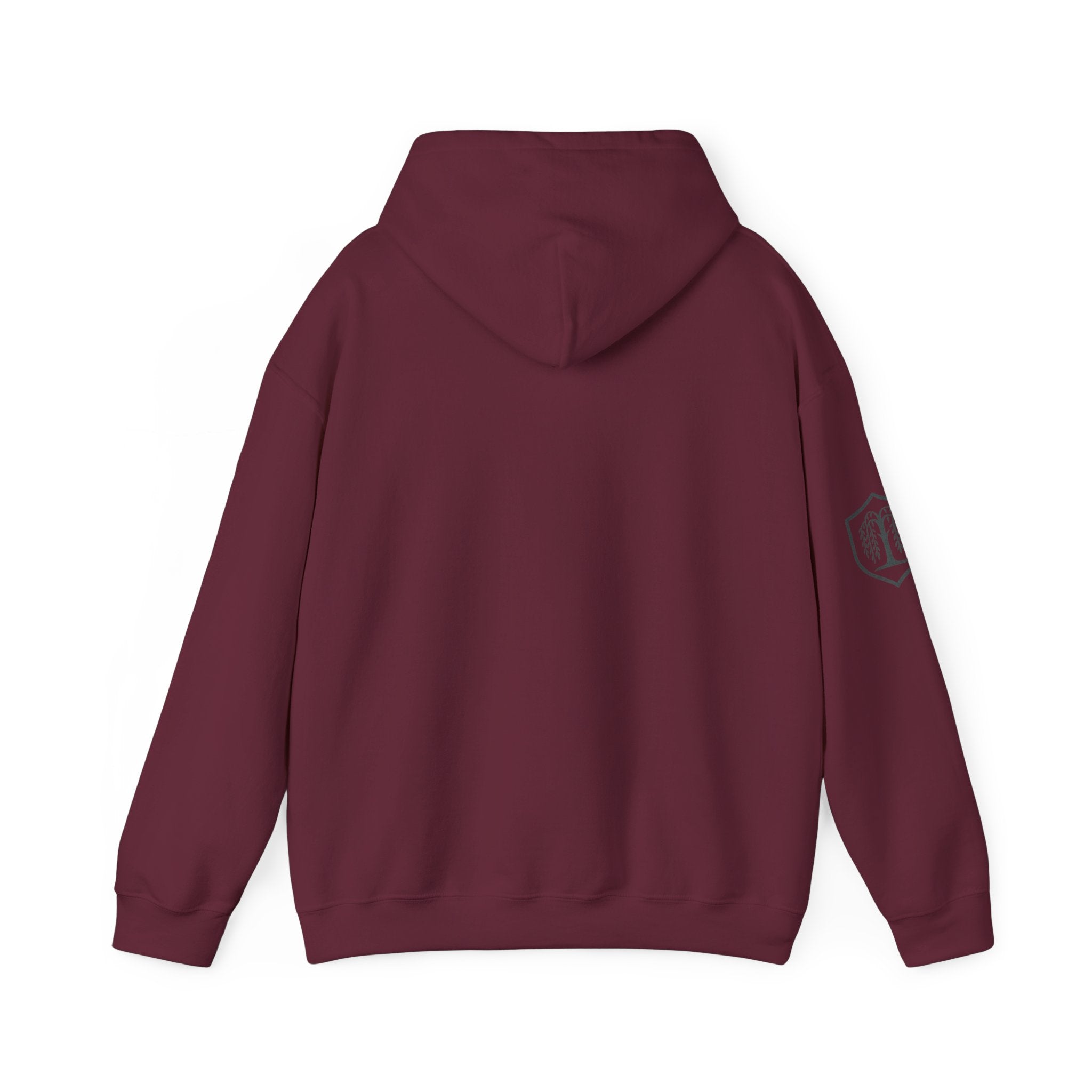 The Plagued Page Hoodie — Gothic Novel-Inspired Pullover
