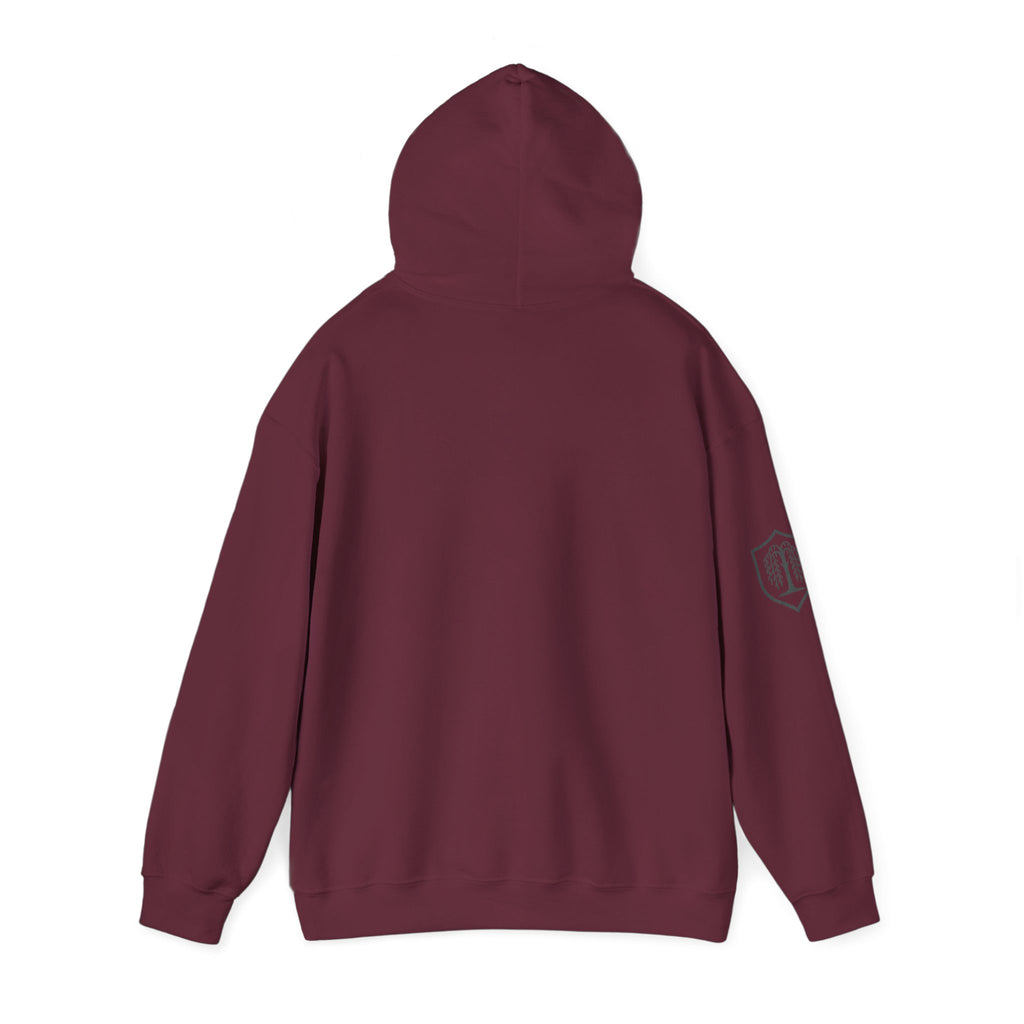 The Plagued Page Hoodie — Gothic Novel-Inspired Pullover
