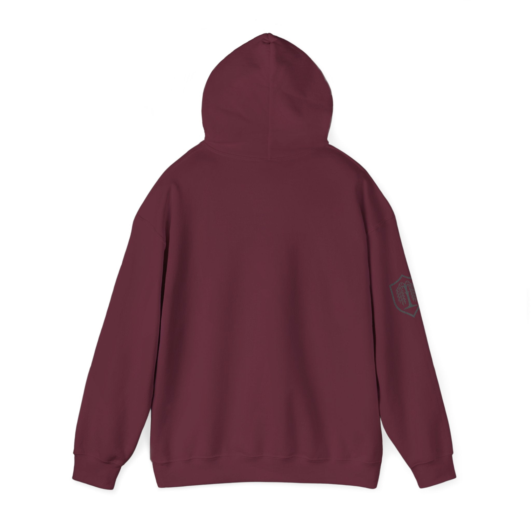 The Plagued Page Hoodie — Gothic Novel-Inspired Pullover