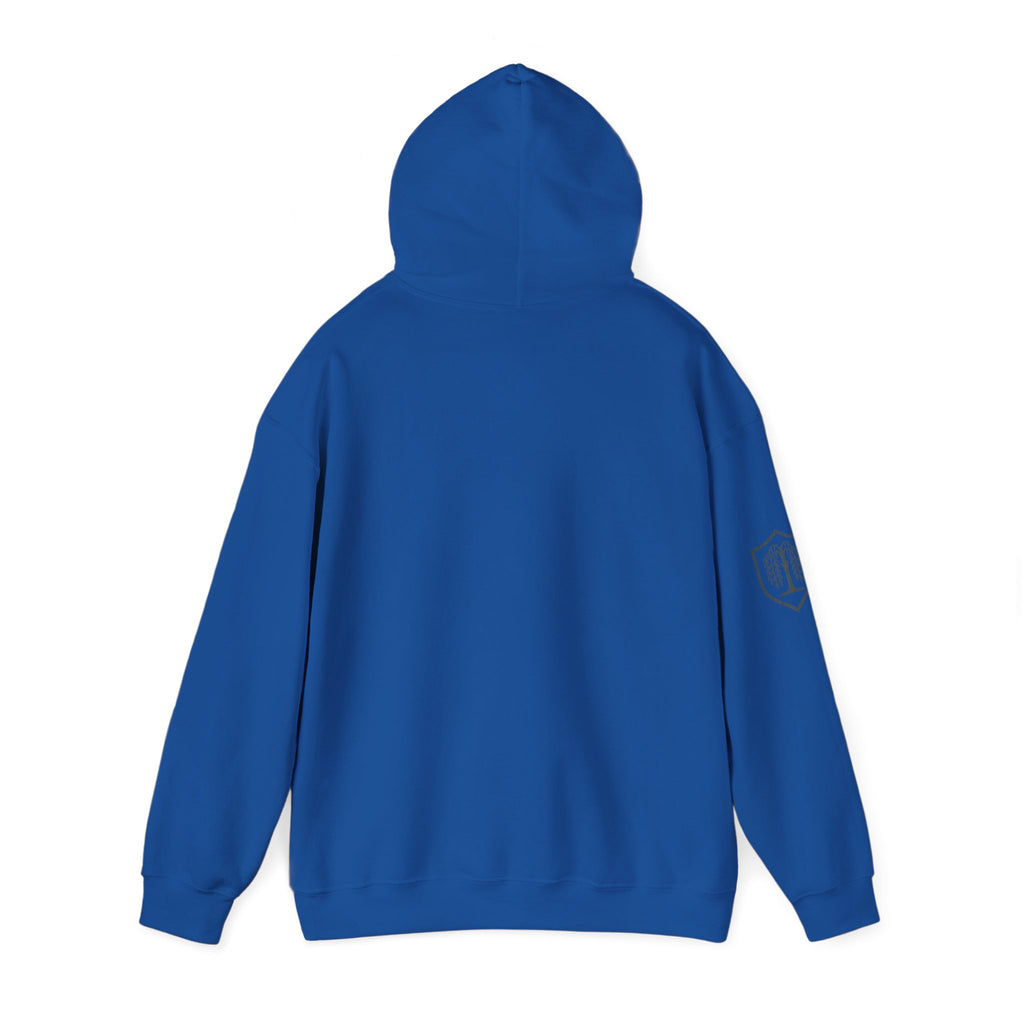 The Plagued Page Hoodie — Gothic Novel-Inspired Pullover