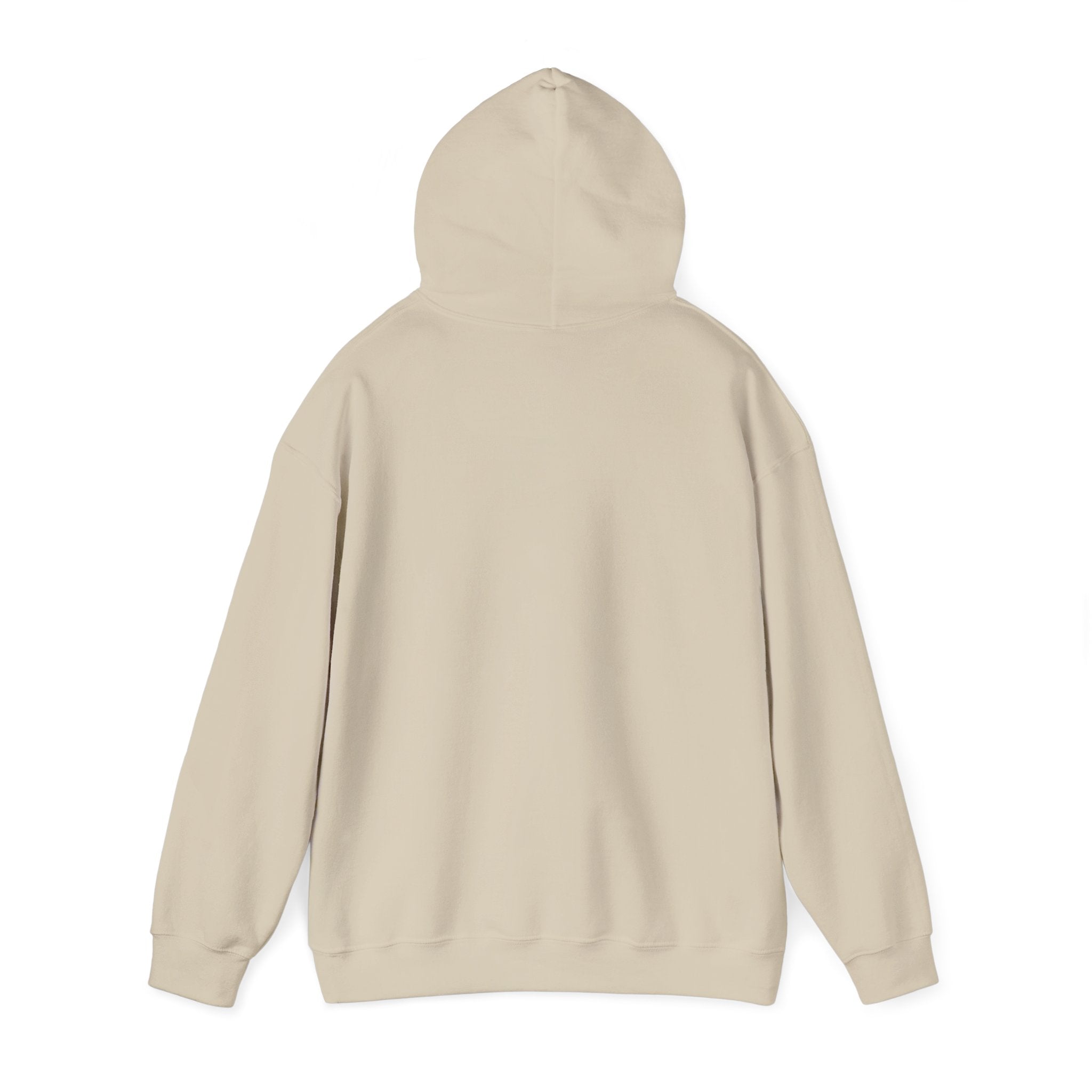 The Plagued Page Pullover Hoodie
